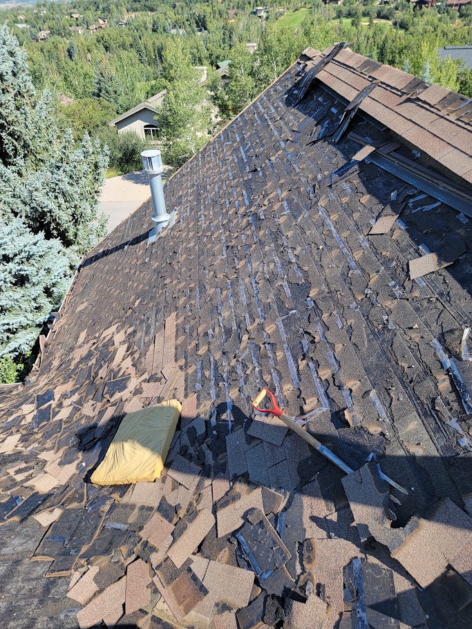 Prep Work/Remove Existing Roof